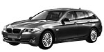 BMW F11 C20E0 Fault Code